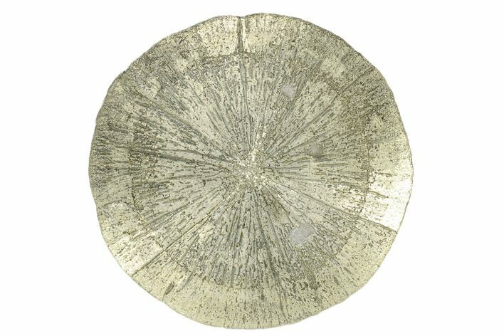 Pyrite Sun - Sparta, Illinois #180650